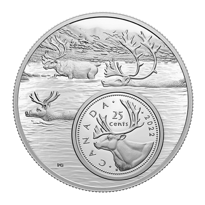 A picture of a Pièce en argent fin de 5 oz – Vue d’ensemble : Pièce de 25 cents – Le caribou (2022)